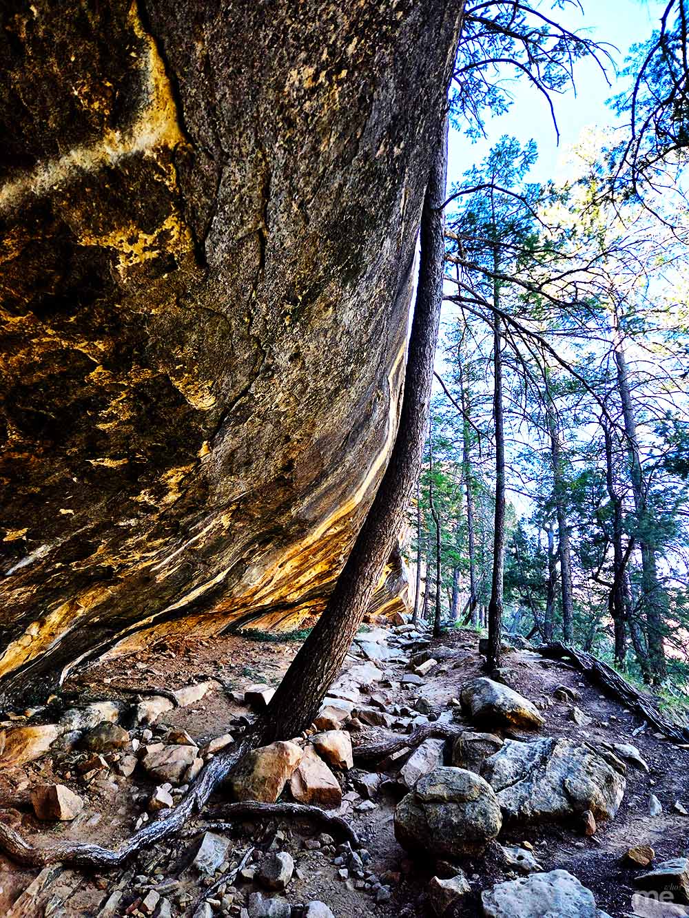 A rocky forest path sheltered by a large, leaning sandstone cliff with an angled tree growing alongside the rock face.