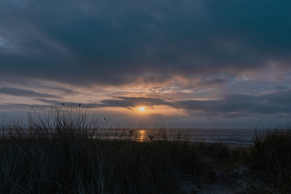 A wide landscape photograph of a sunset over the ocean, viewed from behind tall, dark beach grasses. The sun sits low on the horizon, casting a warm orange glow through layers of thick, moody clouds. Its reflection shimmers in a narrow path across the calm water.