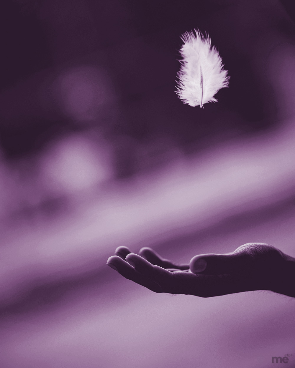 An artistic, monochromatic purple-toned photograph. A small, white downy feather floats in mid-air above an open, outstretched human hand. the hand is positioned at the bottom of the frame, waiting to catch the feather.