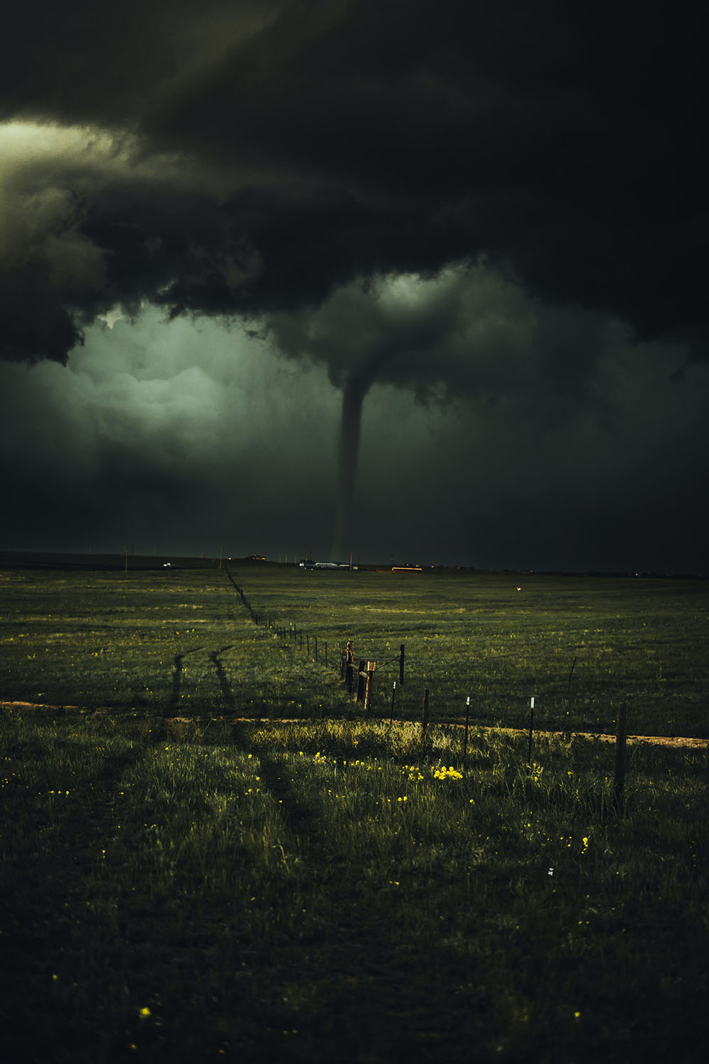 A dark, moody photograph of a slender tornado touching down in a vast green field under heavy, turbulent storm clouds. A long fence line and tire tracks in the grass lead toward the distant funnel on the horizon.
