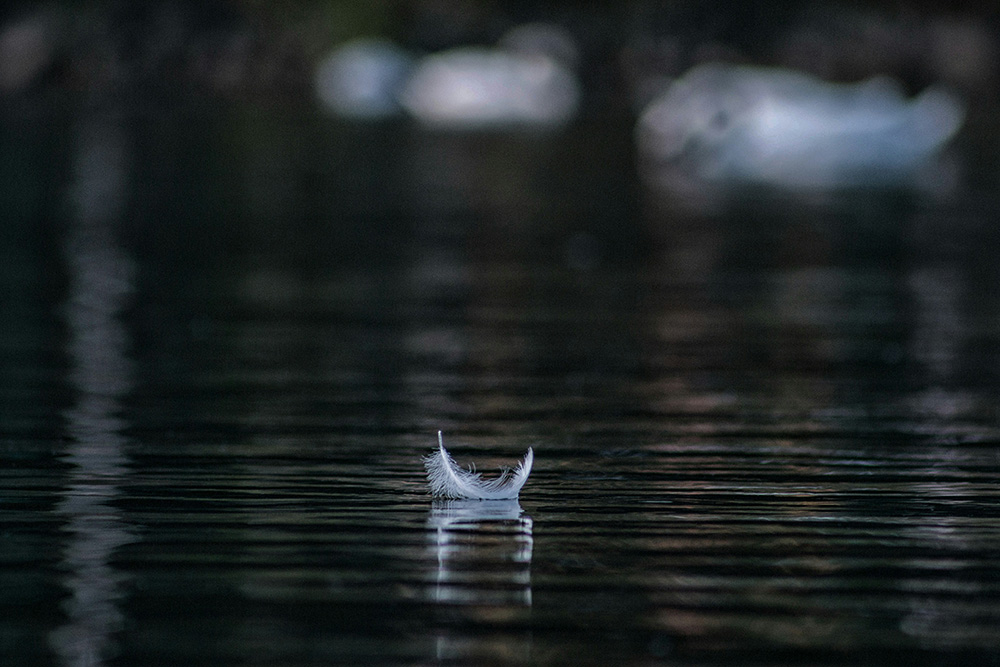A serene, close-up photograph of a single small, white down feather floating on the surface of dark, calm water. The feather is curved into a gentle U-shape, and its soft texture is sharply in focus against the subtle ripples of the water.