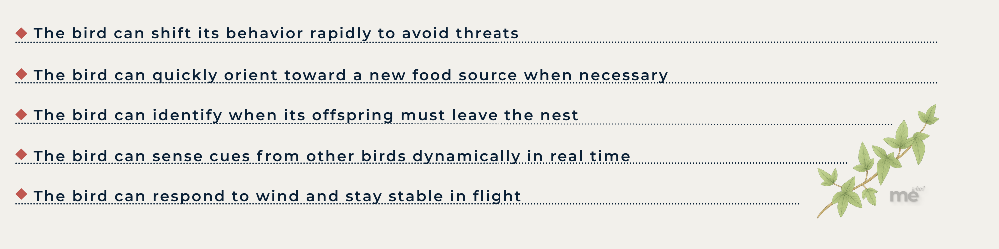 An educational graphic featuring a list of adaptive bird behaviors. The text explains how birds shift behavior to avoid threats, orient toward food sources, and maintain stability in flight. The design is clean, featuring a light cream background with a decorative green ivy branch.